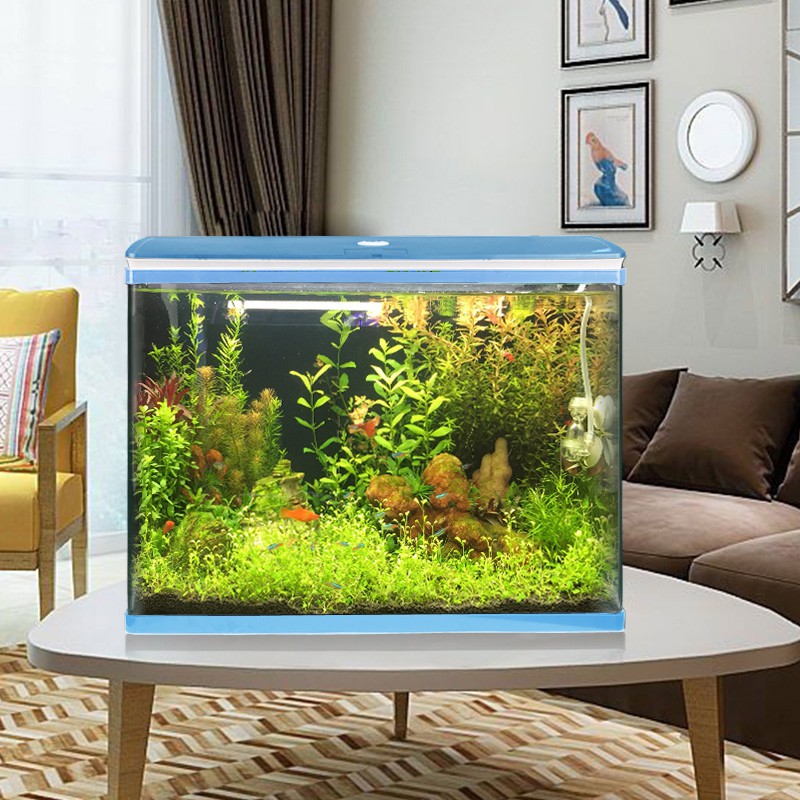 8ca679324abbbf41d4692f3700e42cd7