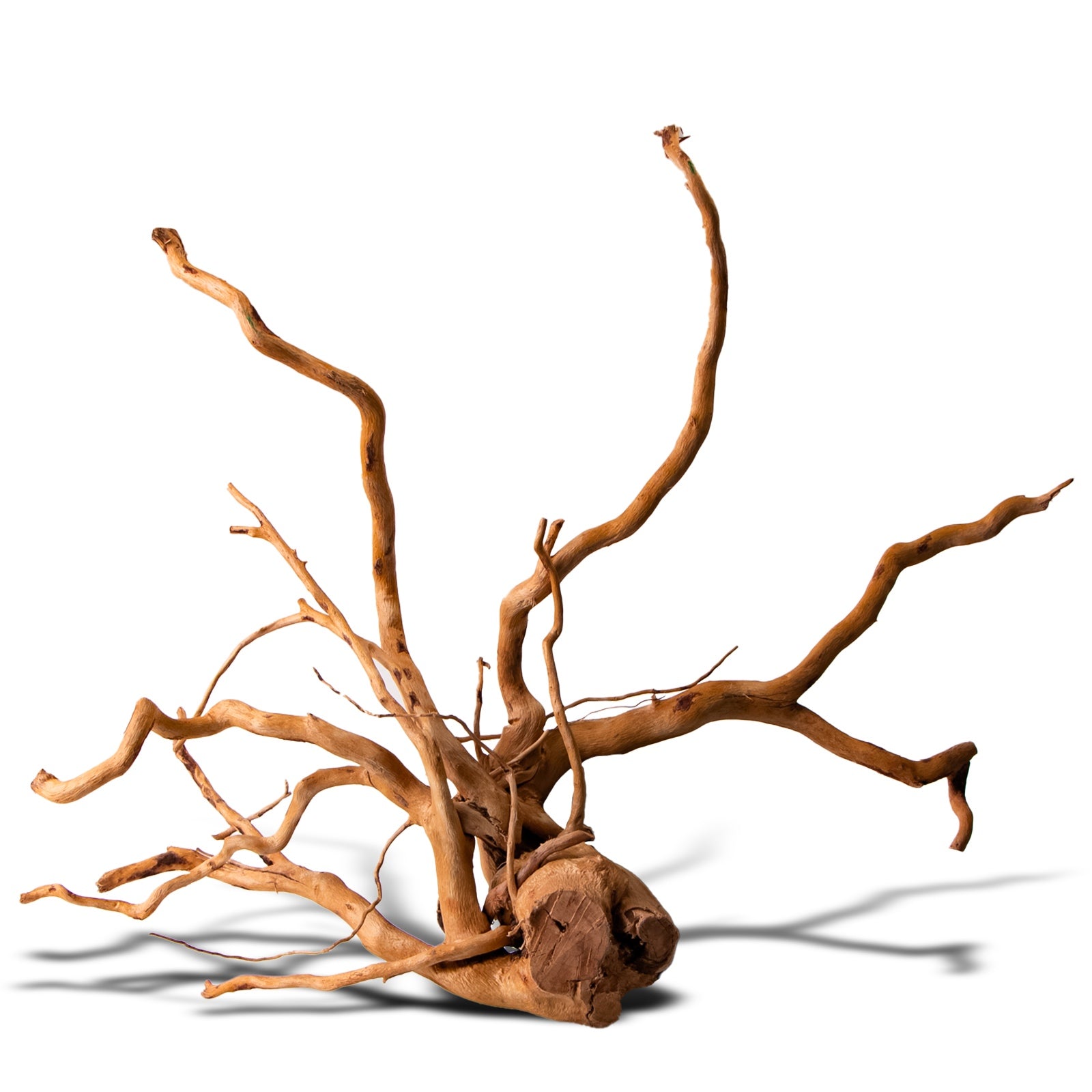 e2f11ffd21826776ece6deb8576fc023