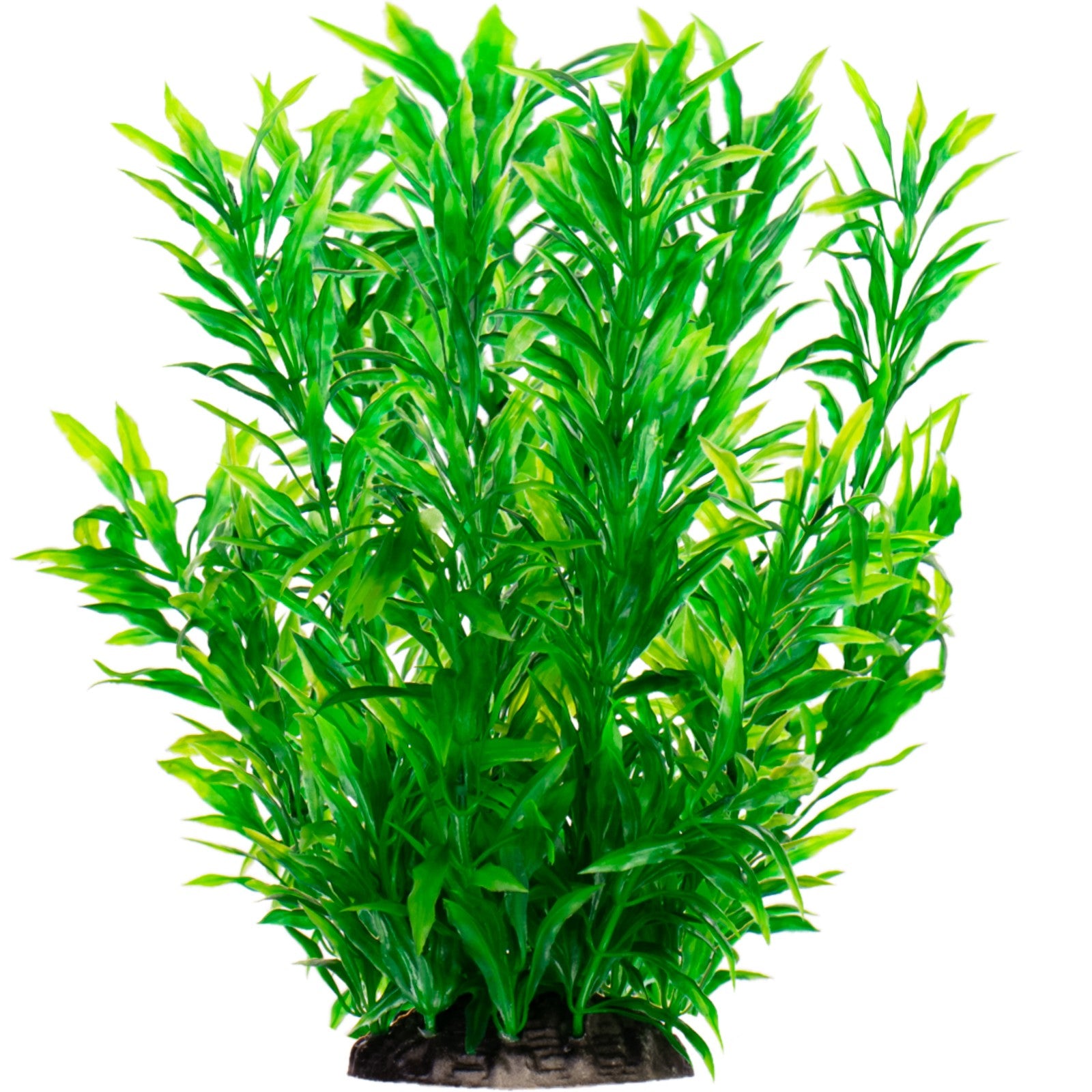 01dd47b5f01b3e70d9a1cf76f89f6734