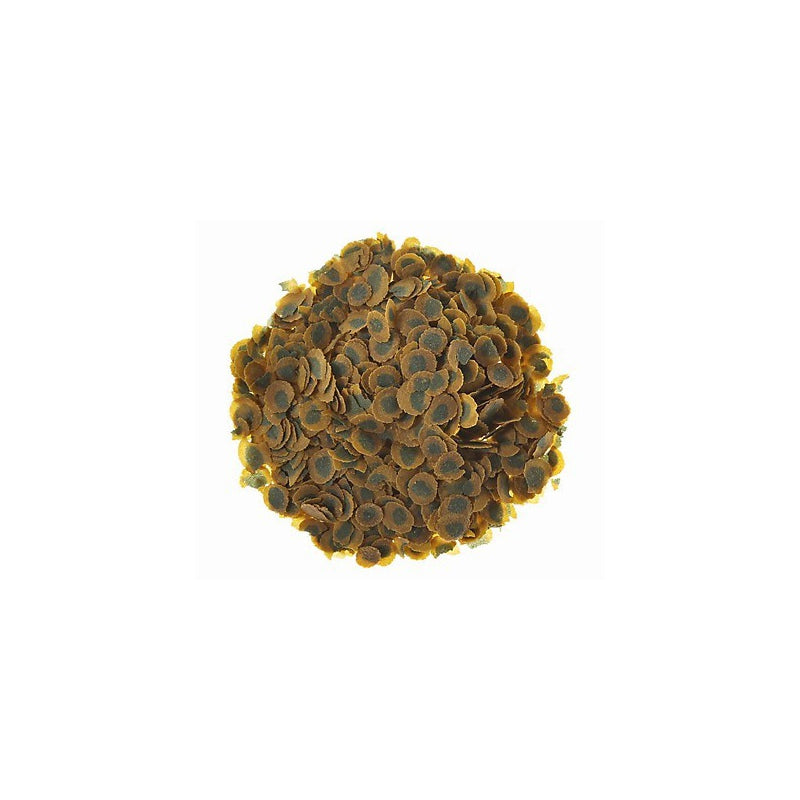 ebca952bcb9a16e3b78114f20ae94931