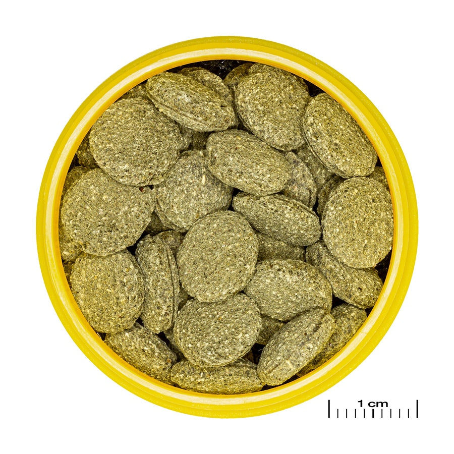 d12918b7cd853ae0e9bf4fdb468069ae