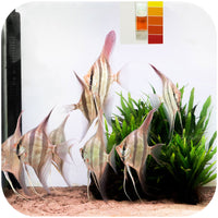 352b826e43a23df3e34ee5fa6965488f