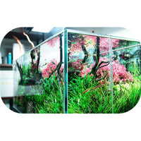 769fb9c27fc1c01b84de604d89175d3c