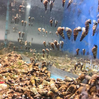 5ead57ef05adf5502dfd73fc01410670