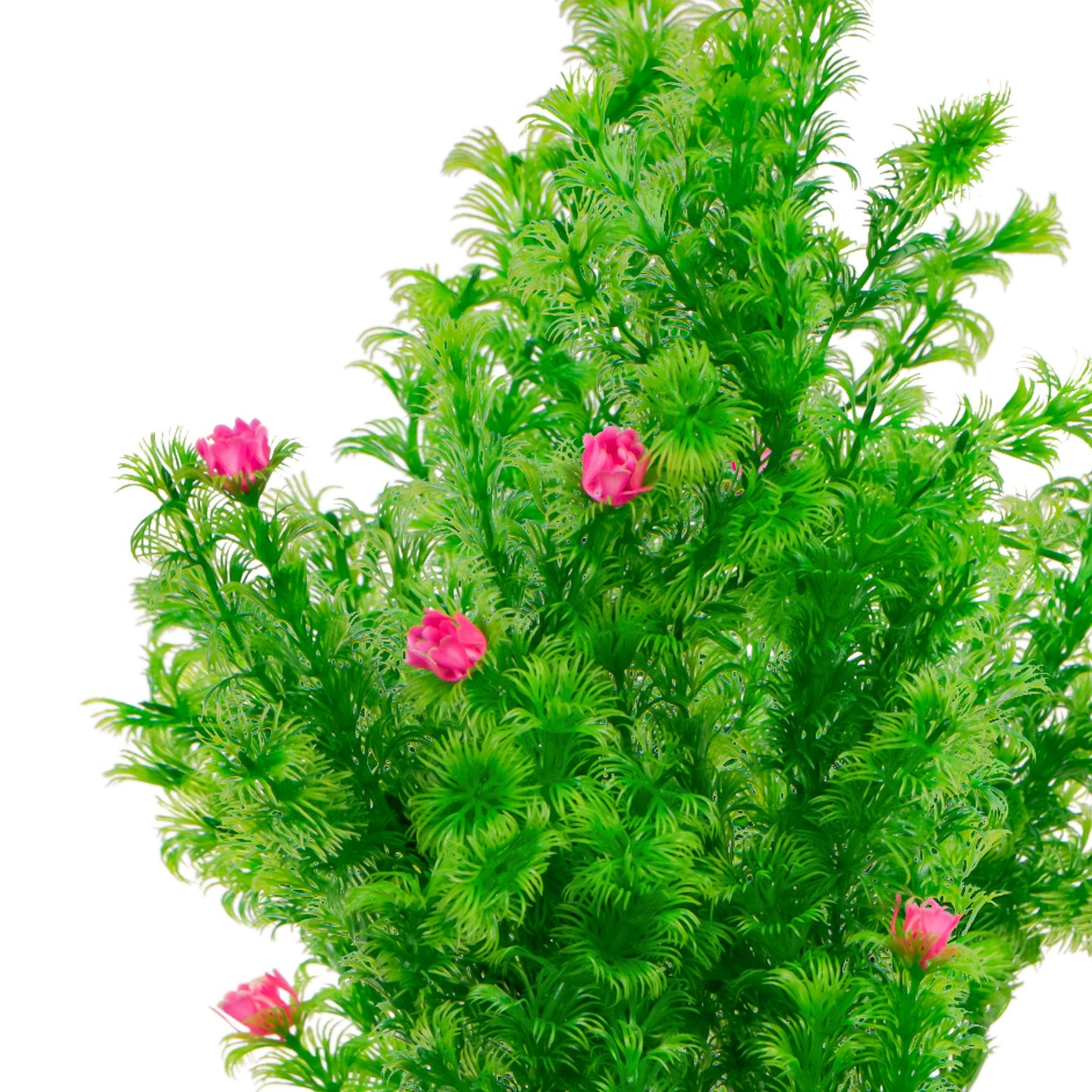 d273b9e5d35c5d7d7726f74c385c8753