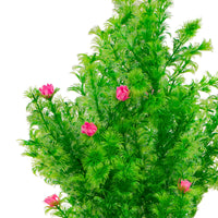 d273b9e5d35c5d7d7726f74c385c8753