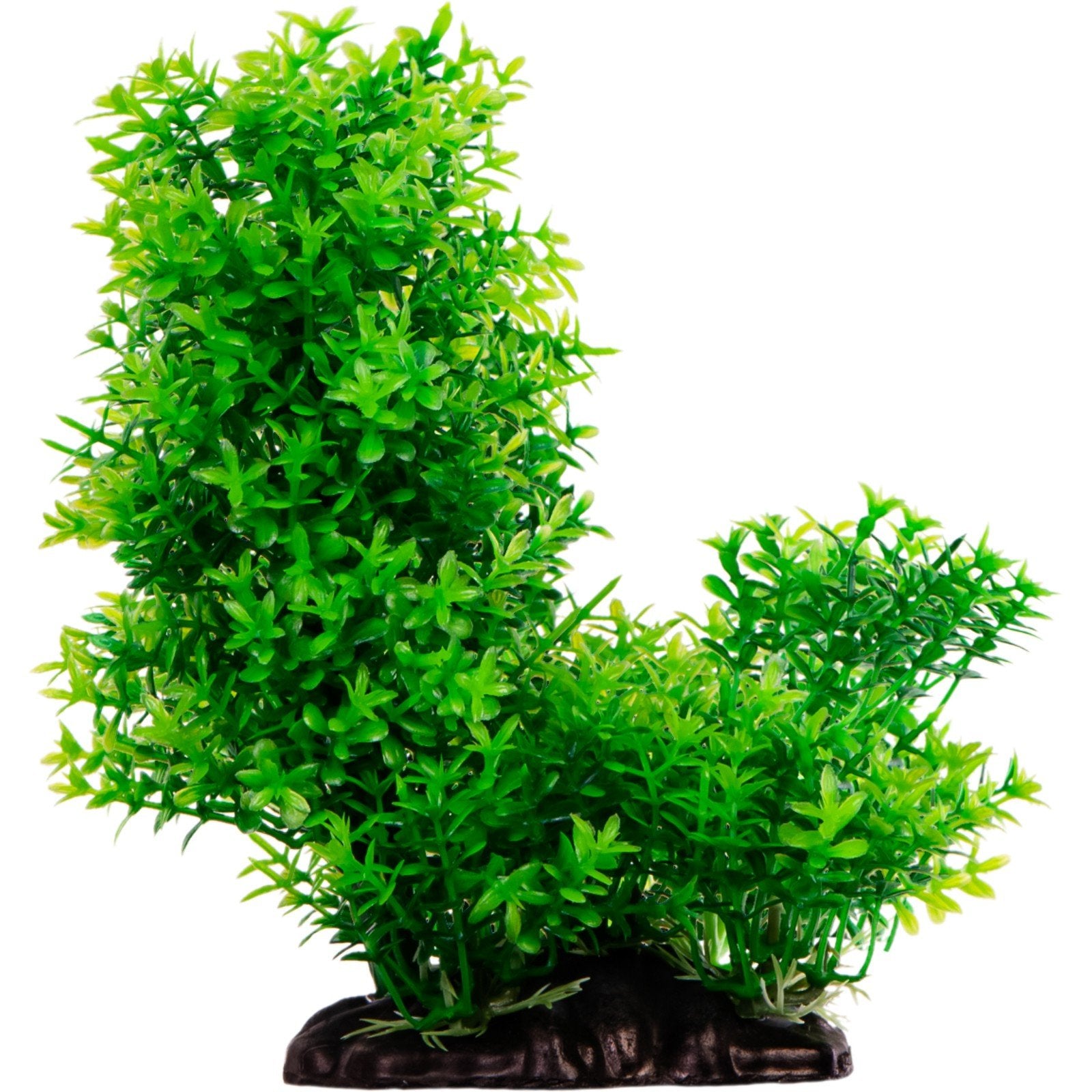 40b27e026d80d6a5c39a9c419c9cae87