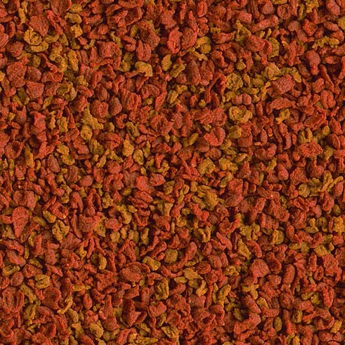 c6c1a879fb4054a8fc83b16f784c6bb3