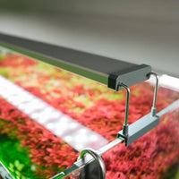 32af758a6c0cbc3d0ebbaf7d1546adda