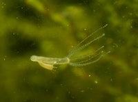 3719e0c530d7b61502ea9ac1131b3527