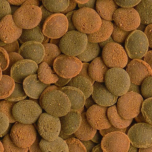 4802e07d0ac4ec03c5dab447b5b128c2