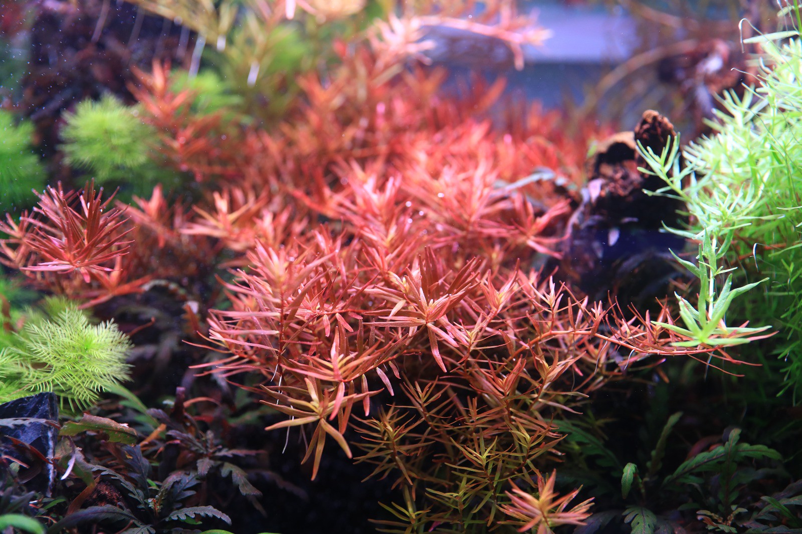 0576ad42291c2510ce2681b137effeae