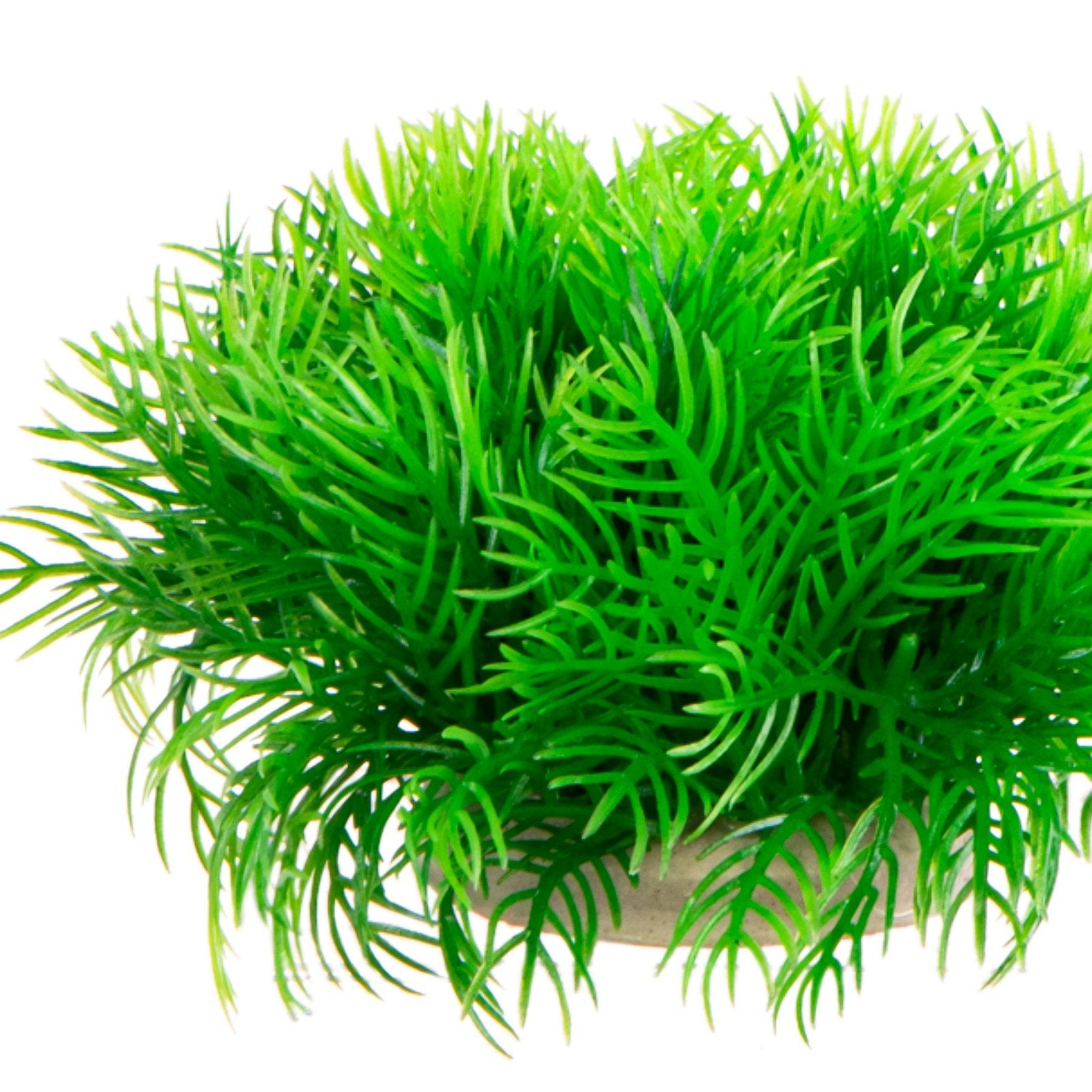 955ade71f01f47096c015ce8200c9258