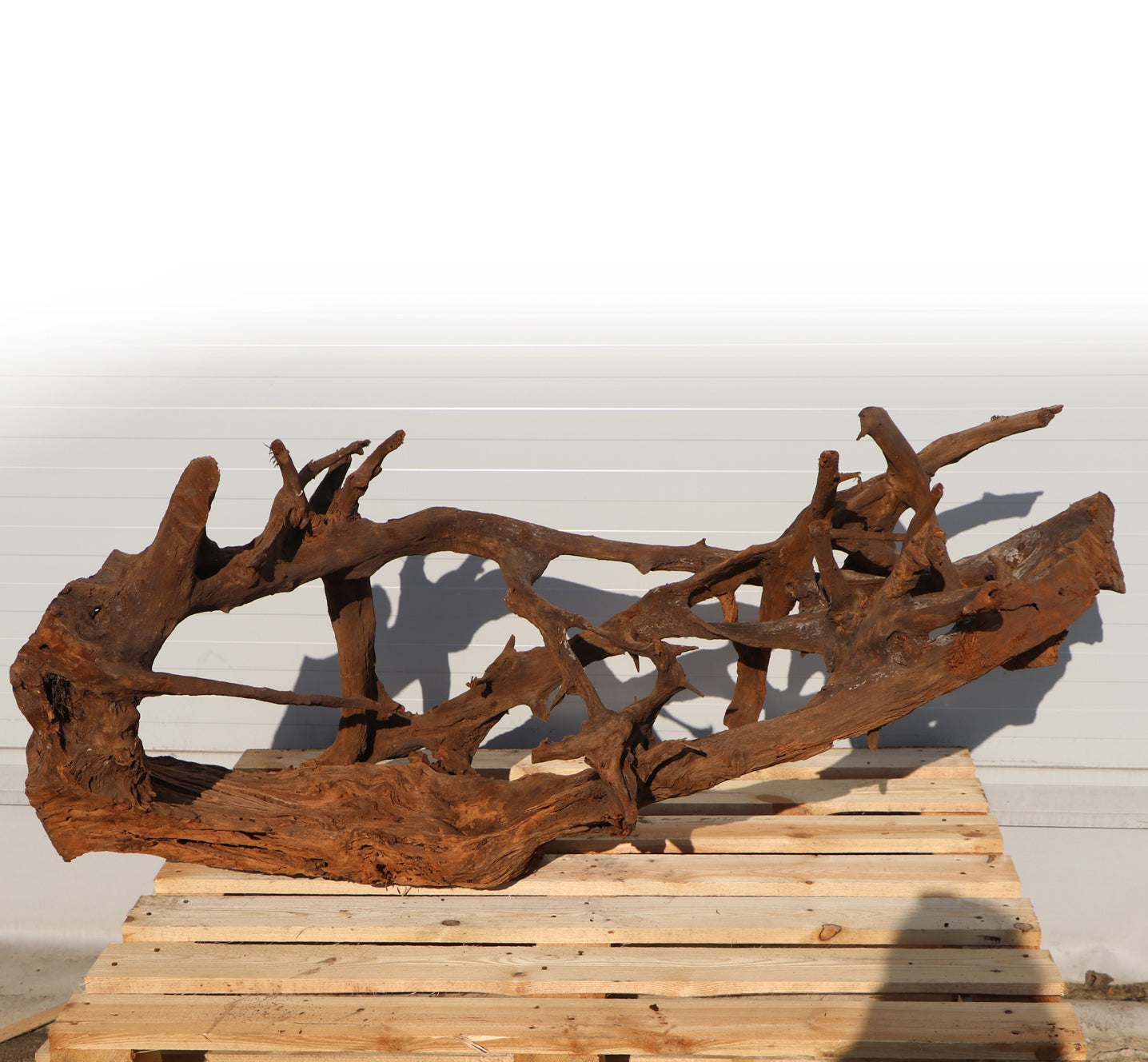 c707c50c0d522627a2ad20ecb3f5f6f3