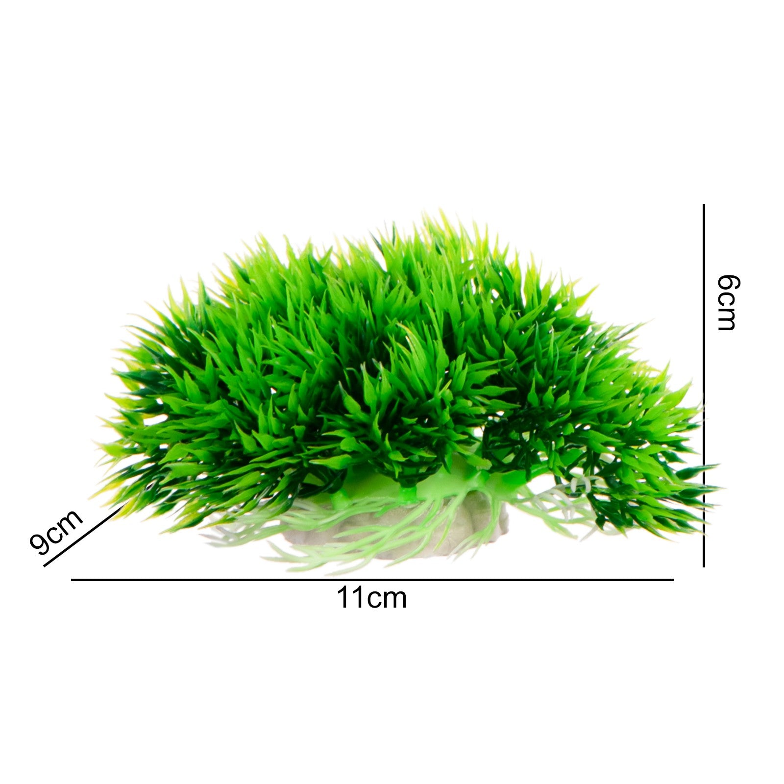 c61ce9d530edccb521775d649843ba9c