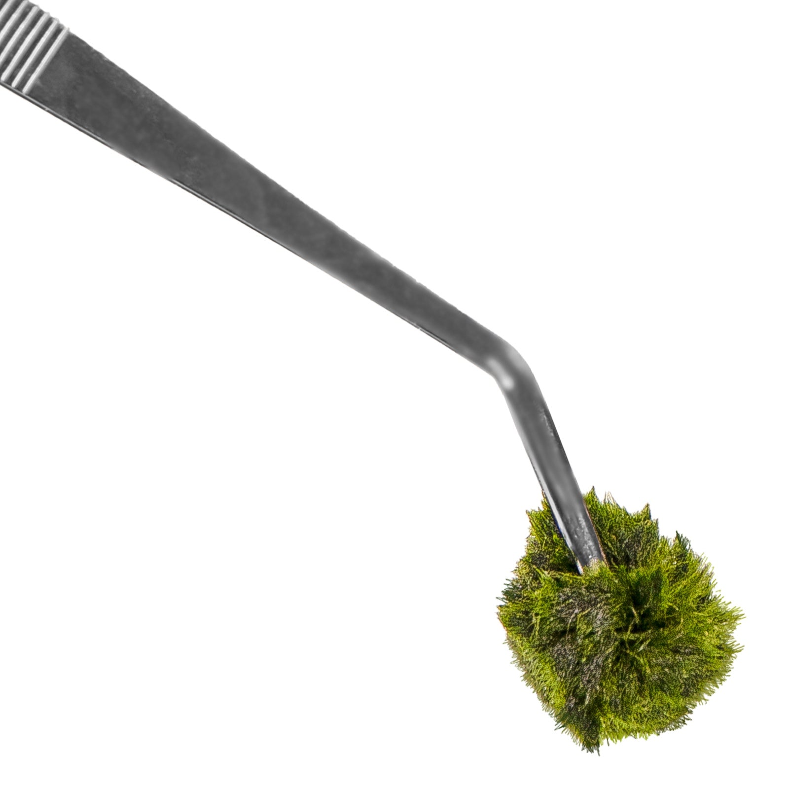 e0af92691f81cf06394a8a3b9557fe9f