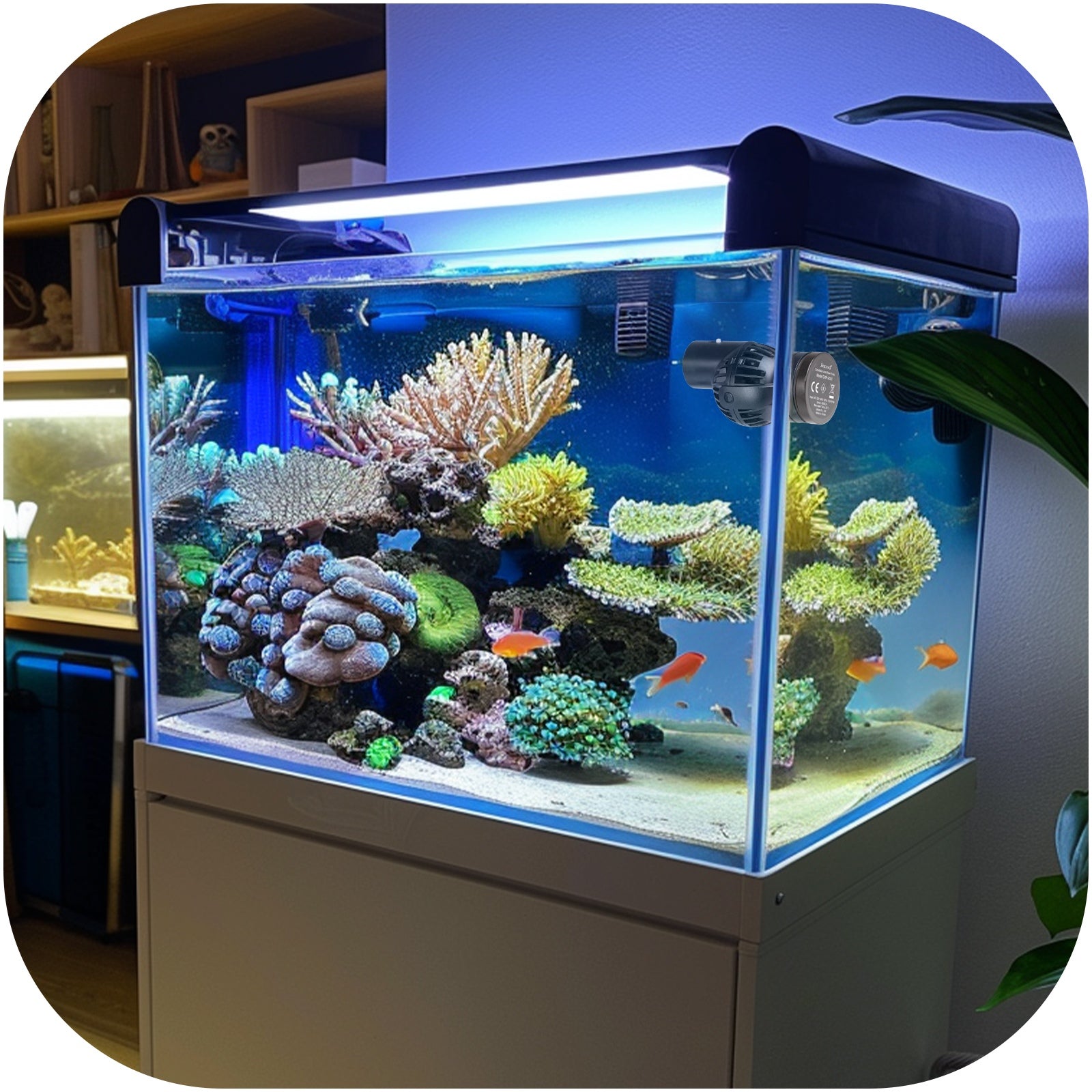 a813b2f24af92c7b16c28e1099e1c656