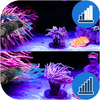 dd35fe028d787b1236ff8a385f2f76fe