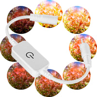 5d50cc36a288c33029e3c464f7bd446a