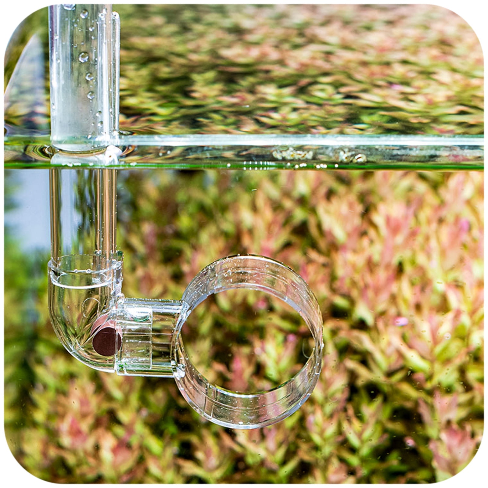 36c08b2c0bc1141a7cc5699ae6096d6a