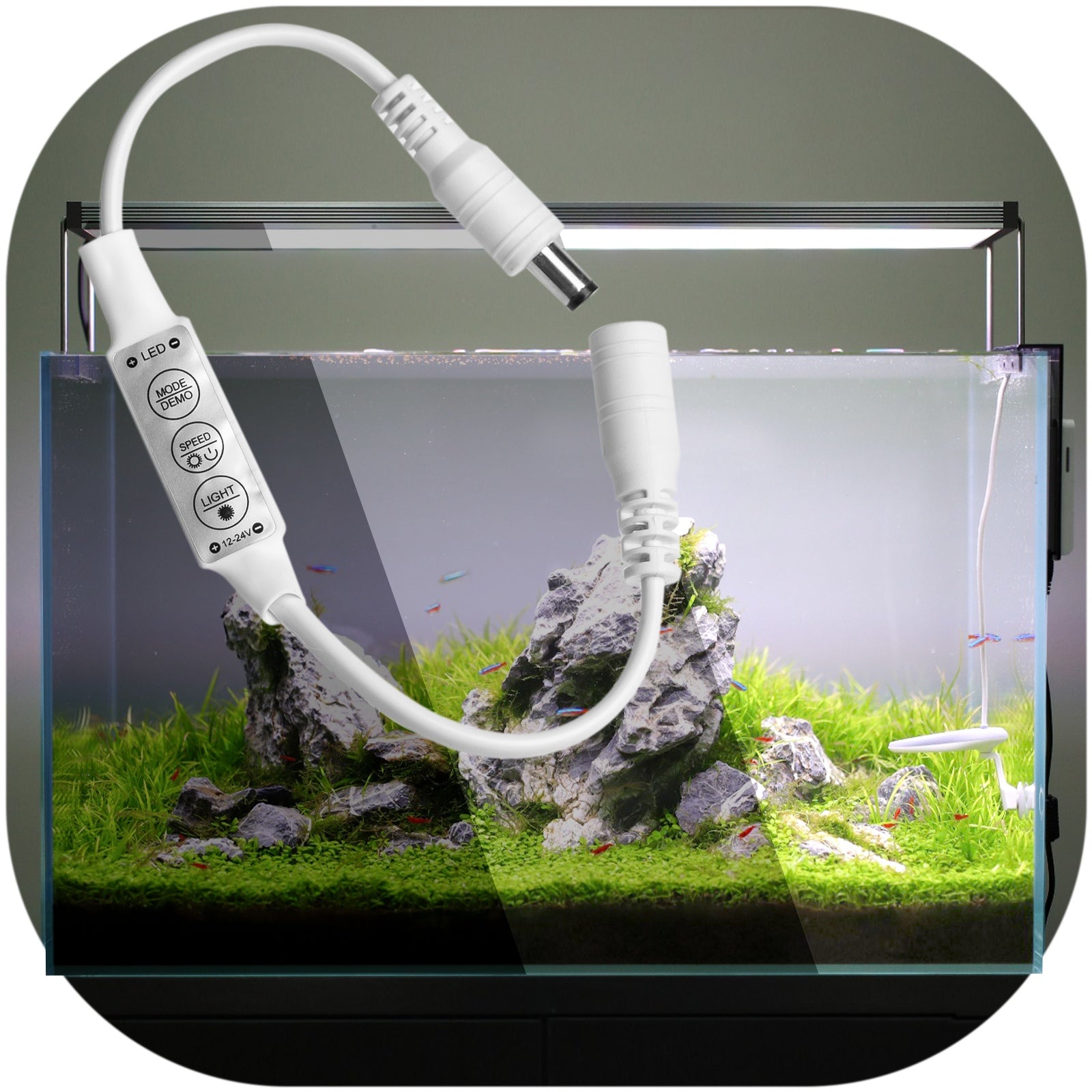 035c456a1f00e84a2073431b13ad328e