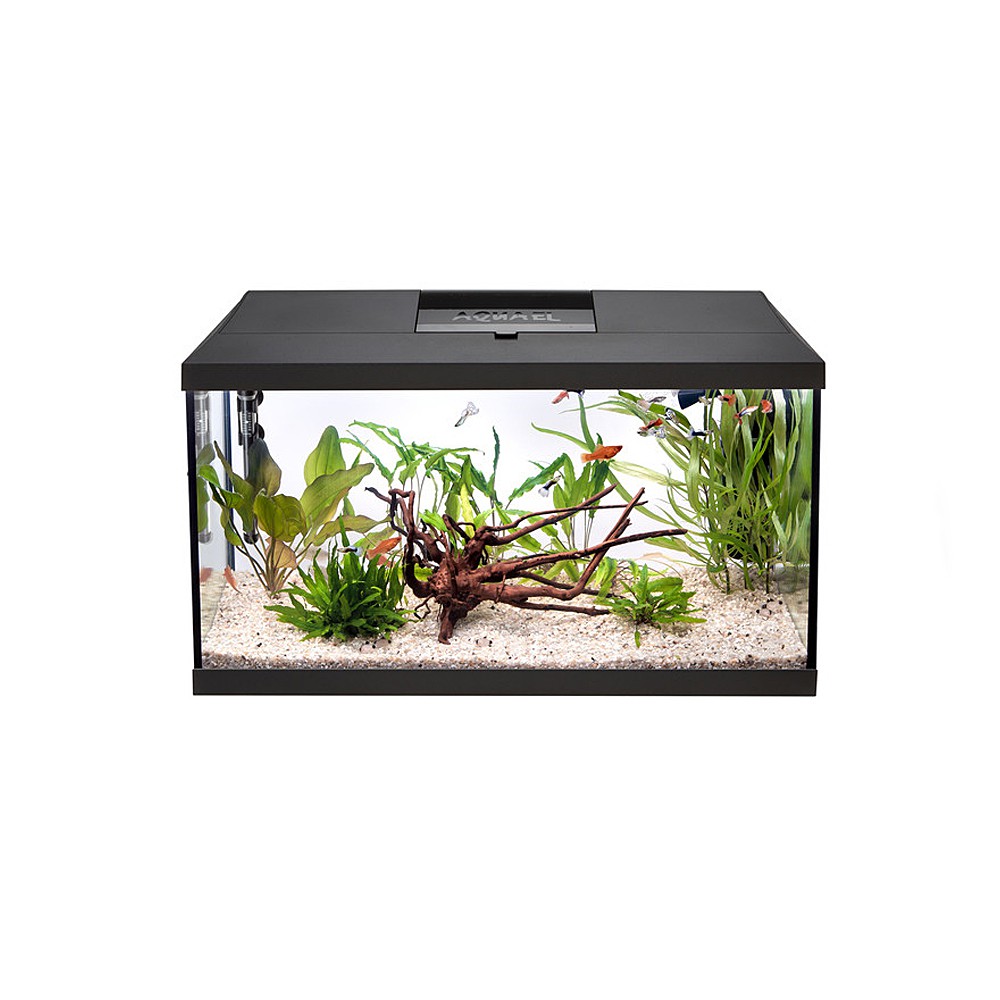 f6d5ee4955a255b688c8288e1de8c363