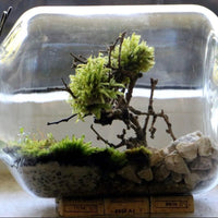 c9c446a20c0b0d51cf6b1891df2b39f1