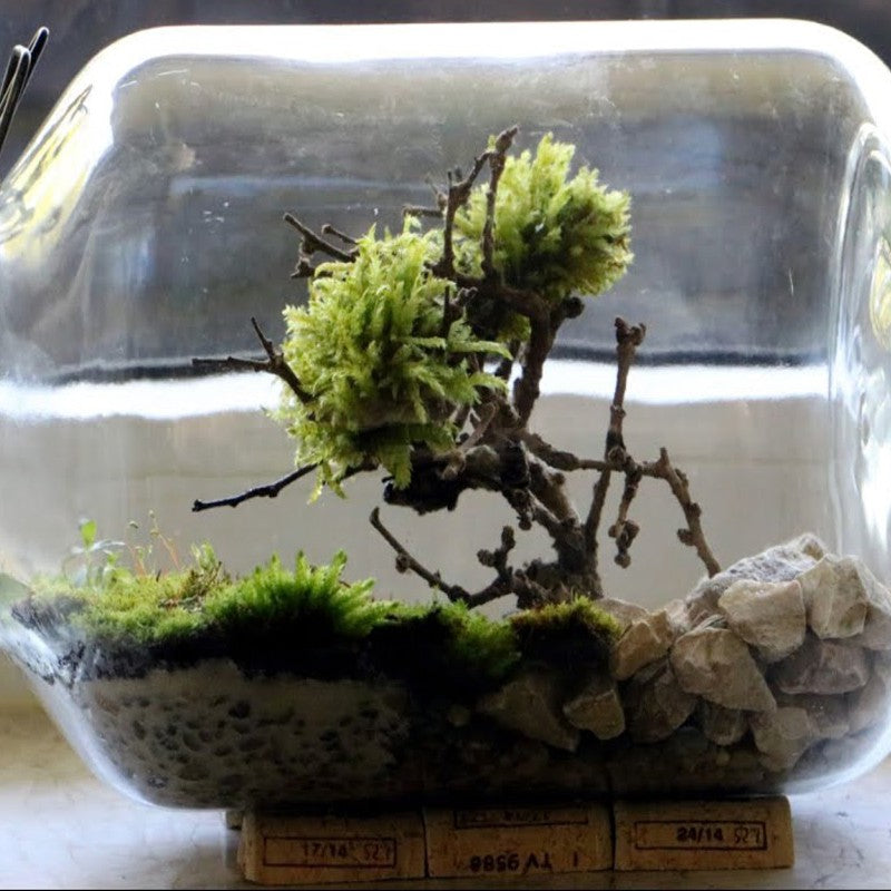 c9c446a20c0b0d51cf6b1891df2b39f1