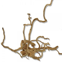 0e3040ad13313a0f86df745701dd8e64