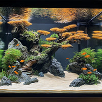 7882292ade43f18d24a8b6afa2862788