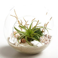 e272ade4287fd5d223c9de1c82036972