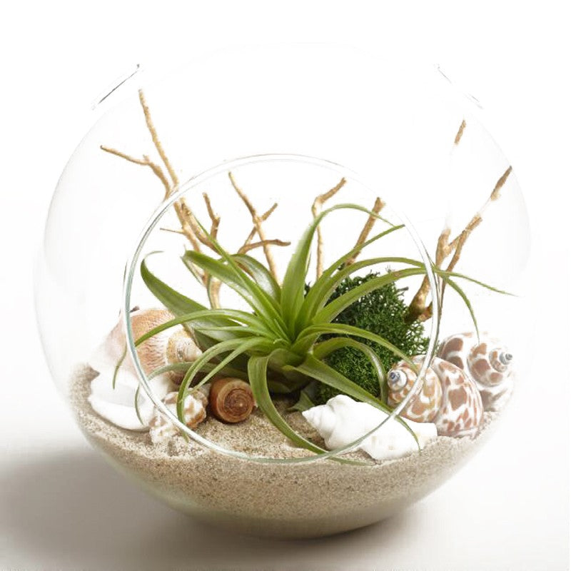 e272ade4287fd5d223c9de1c82036972