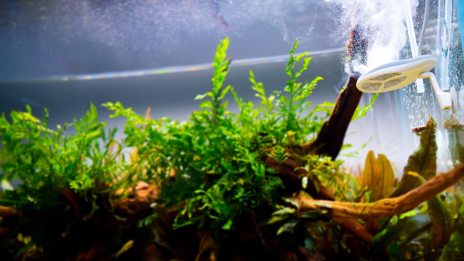 2e8301290d04748e96b1216fc19007fe