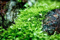 69f252344ccaabe3051ba1eb88f9c260