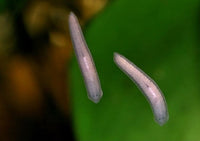 71dacc8ff085978daf613e30e27e53bb