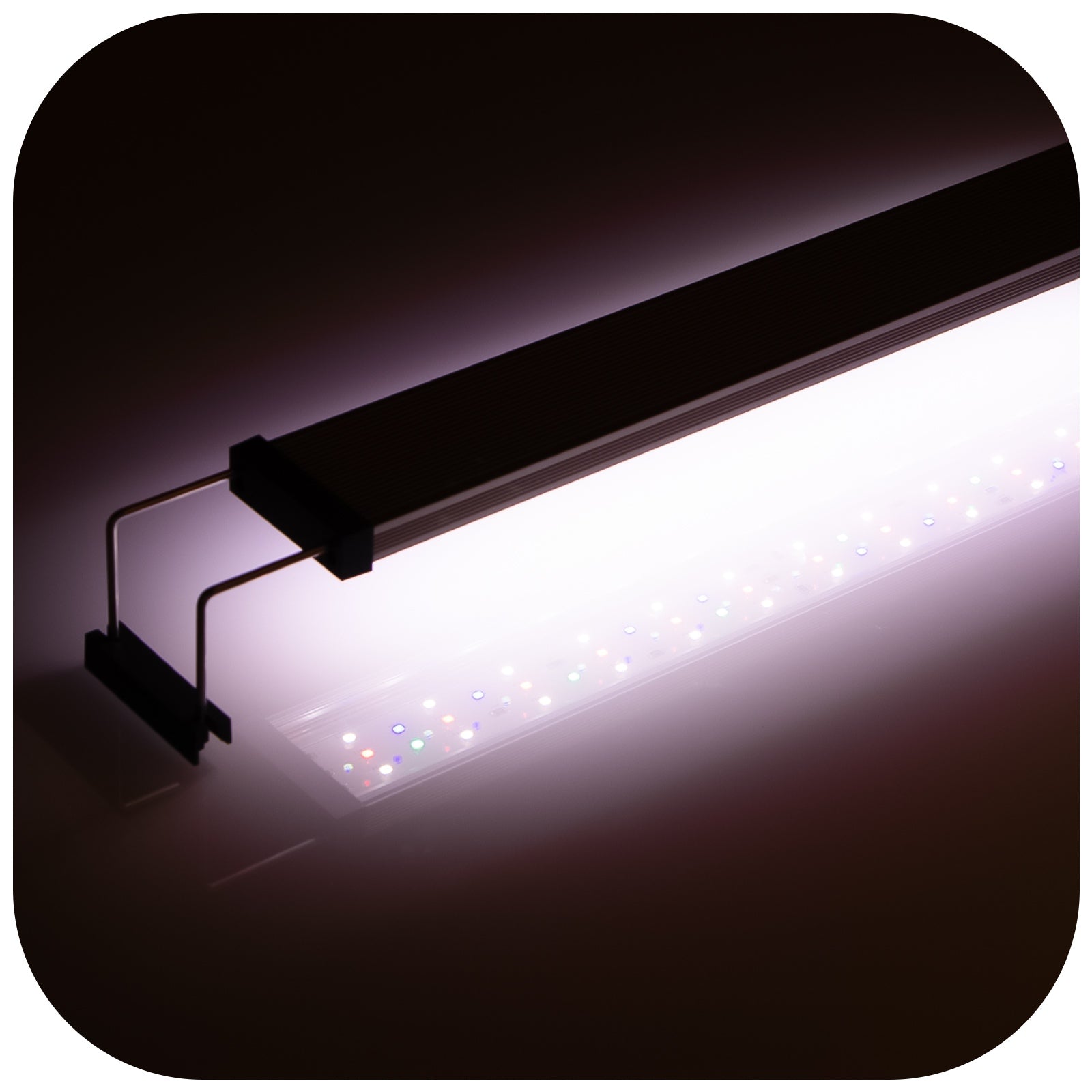 369df06a0ae46e5edc30e18c533a9a04