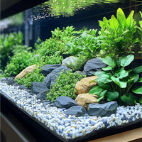 c80c0eafbf8661bbd51331769c13cb7b