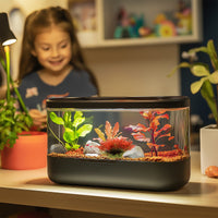 b939d70303d989b5c7bd538df1da9dde