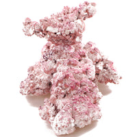 a7e0a75283c87fc0b7ea057a1a8c26f8