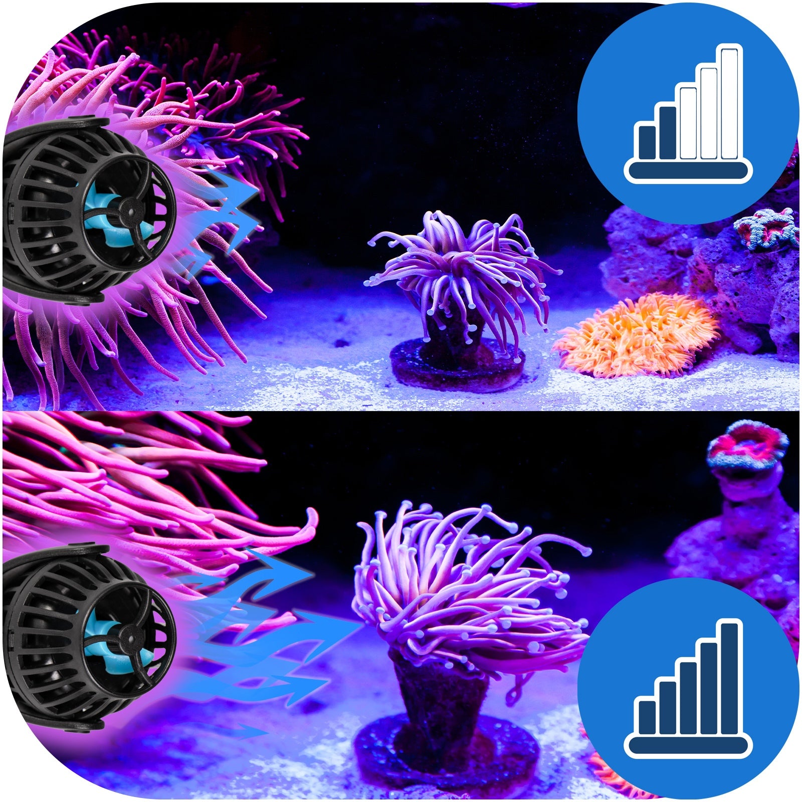 e1eb06c9c53a98f101039a1c47817432