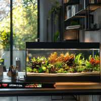 adf063fafa86d5237f55a1d778915a9e