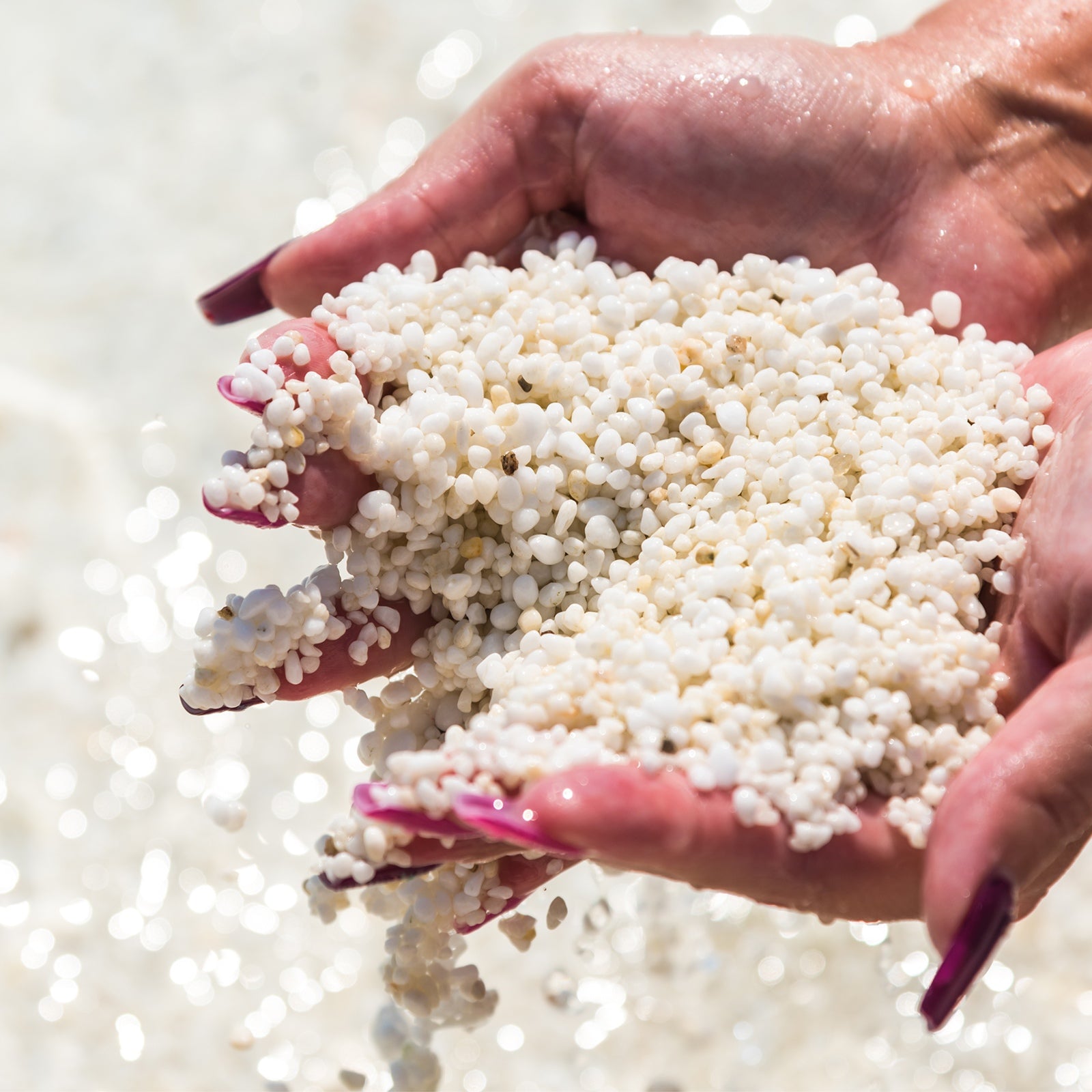 0a197da934fdf17aa0a55a05bb6ddaeb