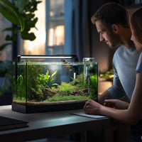 01e0712bd1ee3f8cf33752adcdcafa02