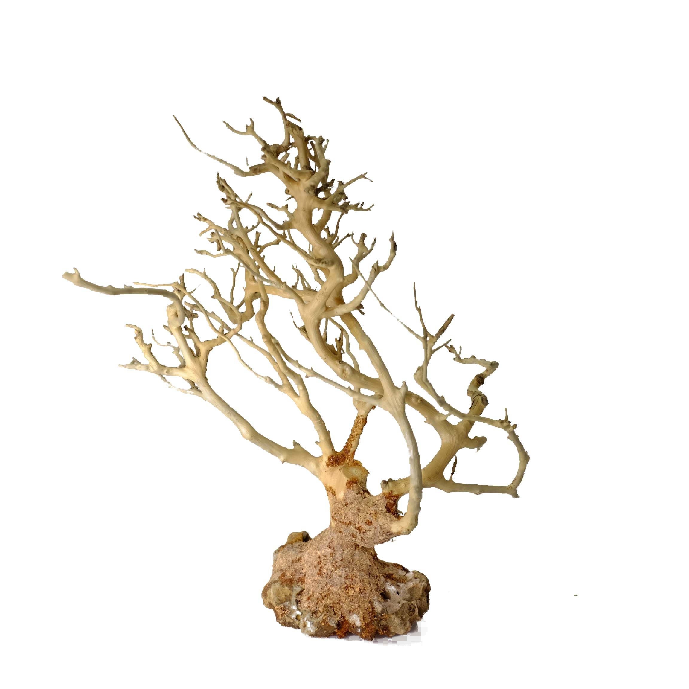 850714d4340f092464c4d24ac0e6c632