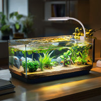 be9c48650ea0f503df92beb24e546273