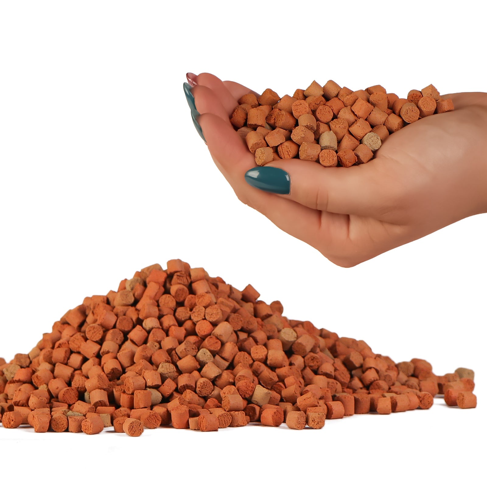 a498509ff376d0faf15e2eddecede304