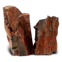 550624c08e1b436141962dc8c9bbfa3a