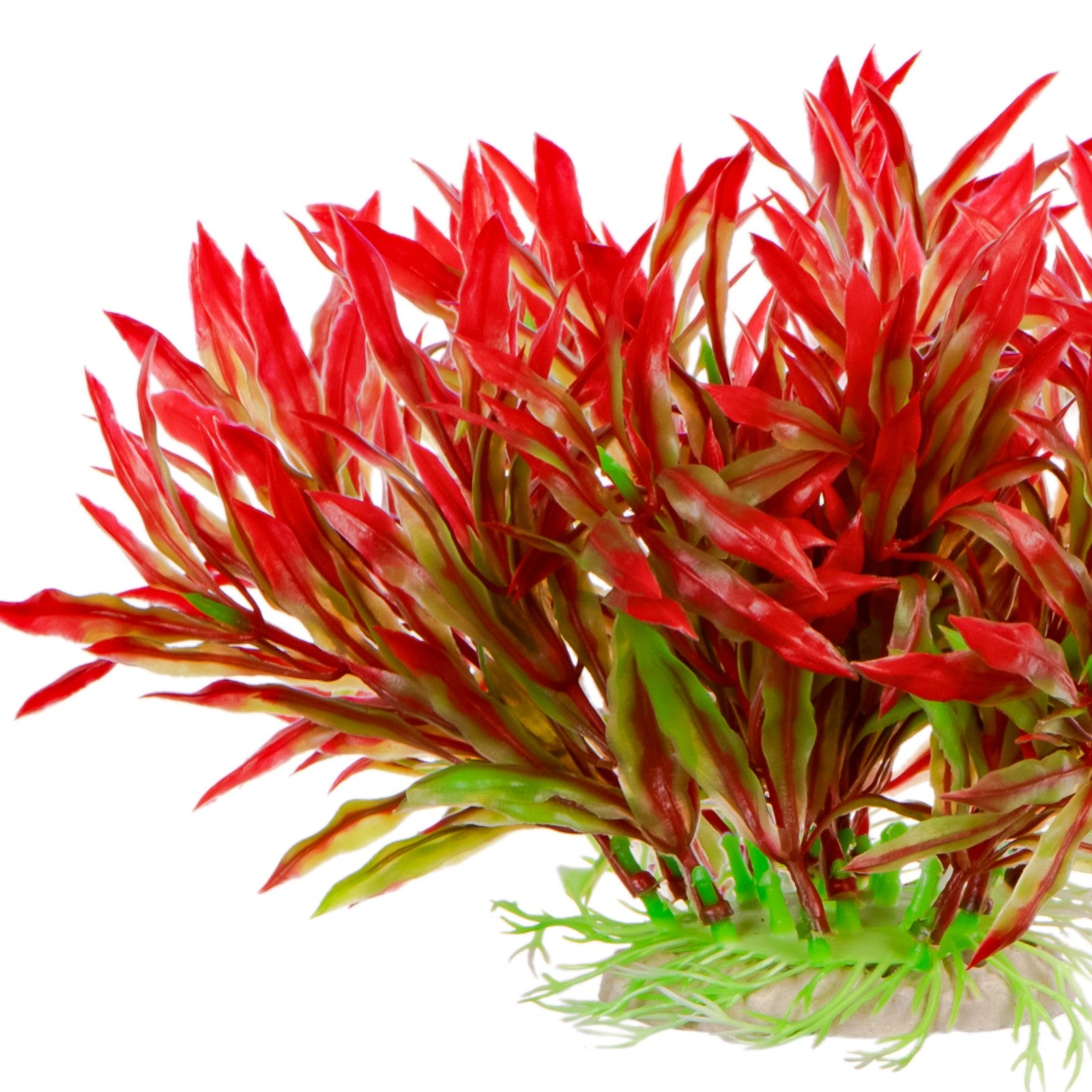 40283d37deb8aa2cb2f8e6e0effd3e9d