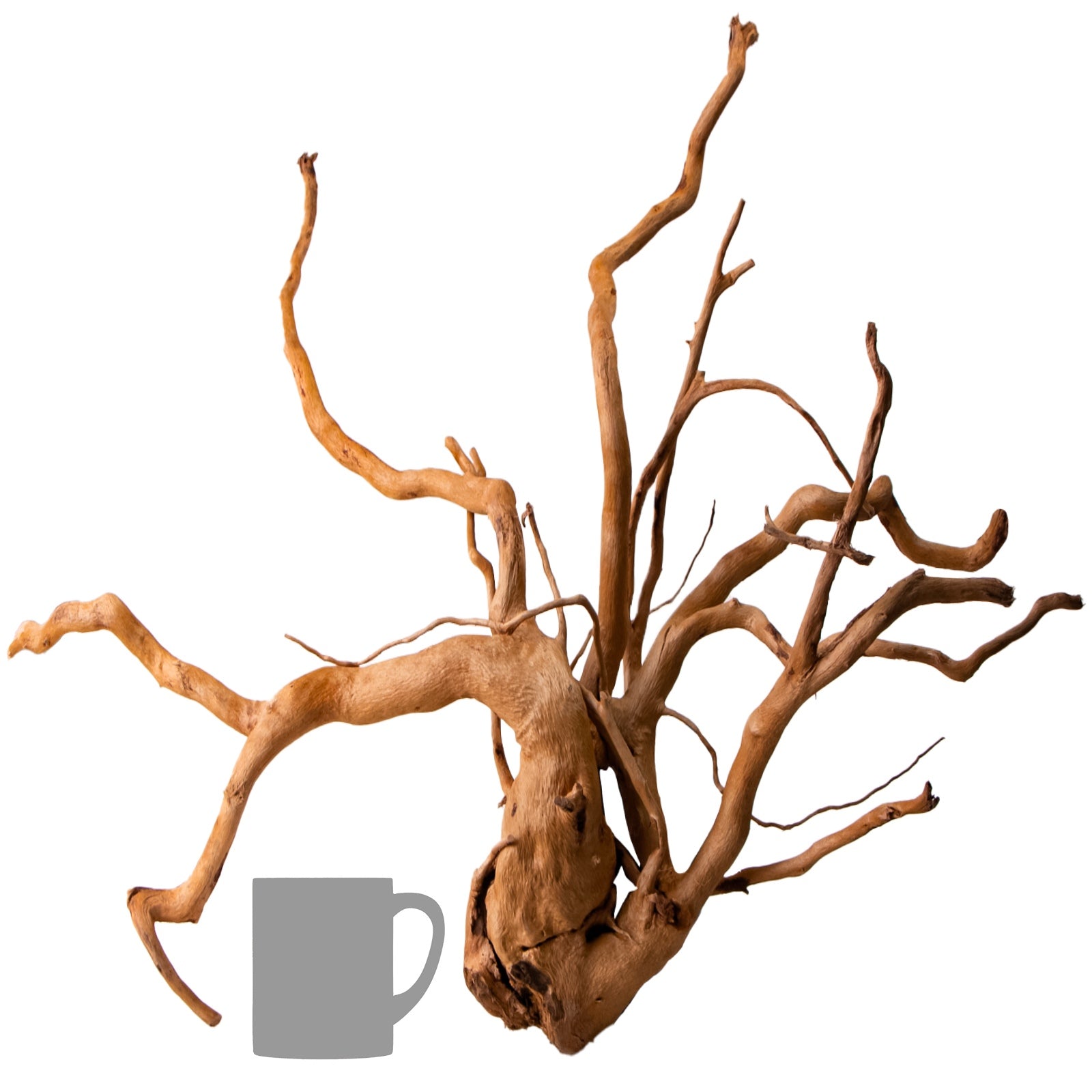 731959900f16c2ac50d329ad1ba0afe1