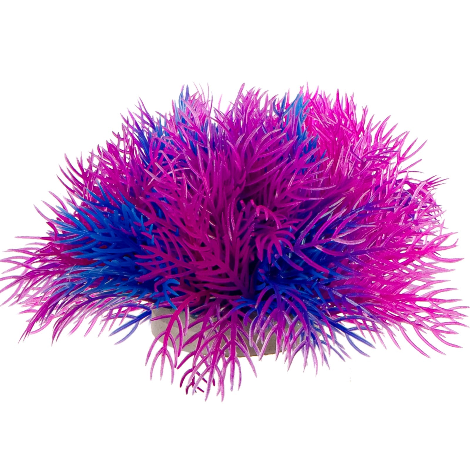 9b45d9fdecb288e8ce86bbfb744fe7f6